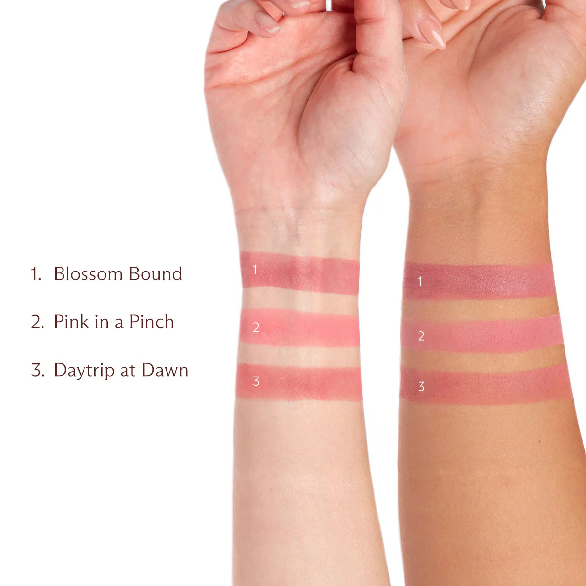 Powder Blush - Image 11